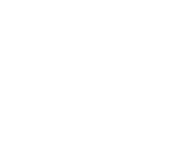 Logo Namthanh White