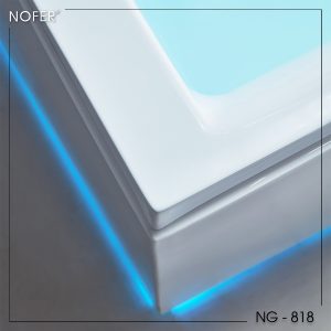 NG-818